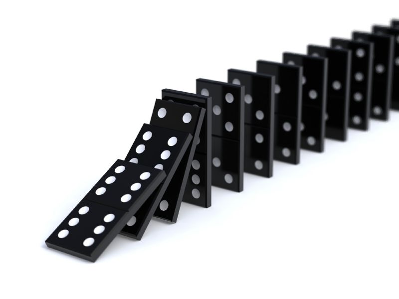 système nerveux