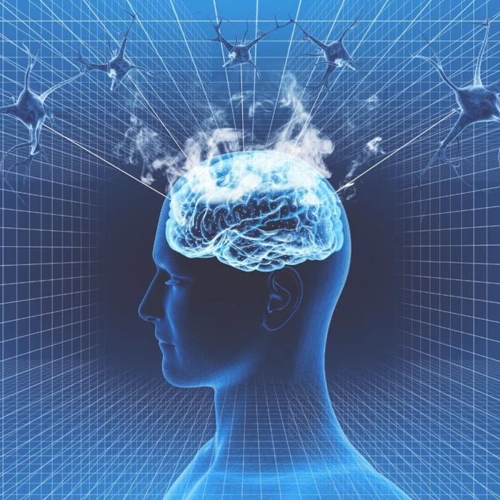 Neurobeauté®