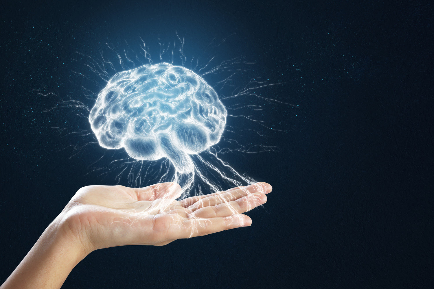 Axe peau cerveau